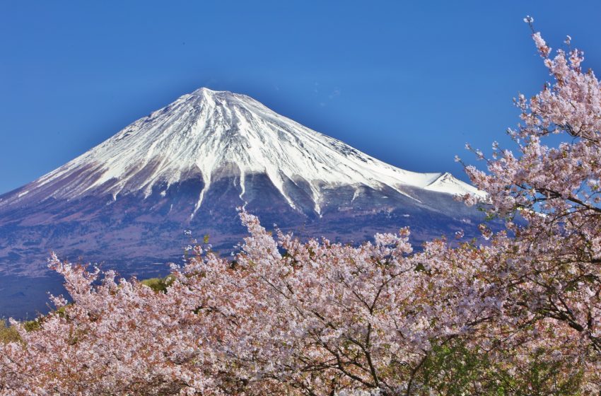 Mount Fuji