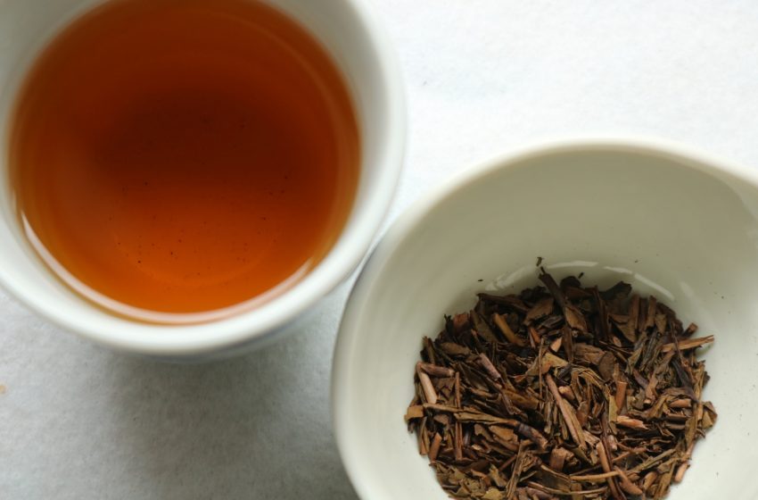  Hojicha: A Toasty Sojourn Through Japan’s Flavorful Brew