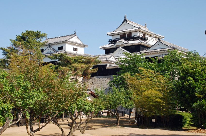  Matsuyama Castle: A Majestic Hilltop Fortress in Shikoku