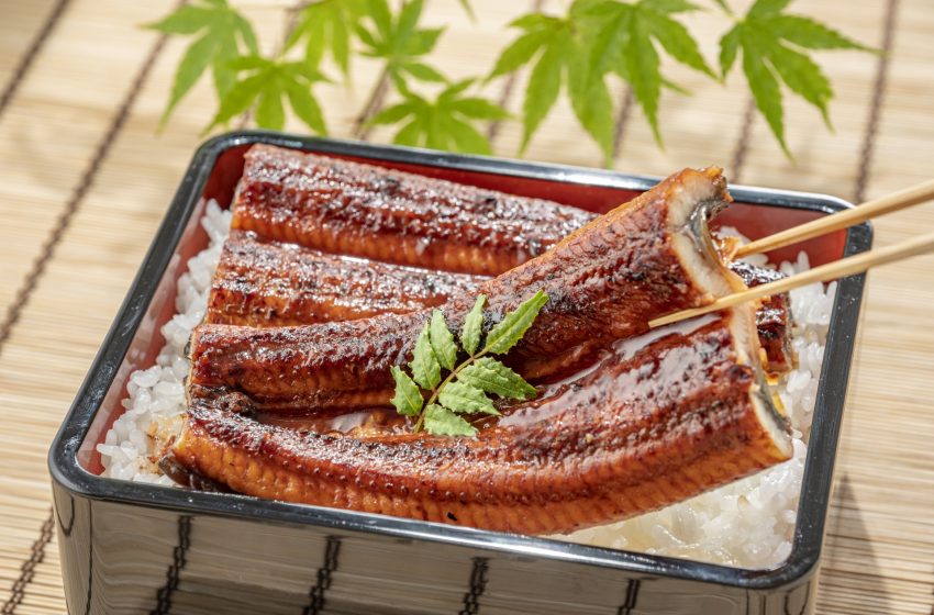  Unagi no Kabayaki: A Culinary Delight from Japan