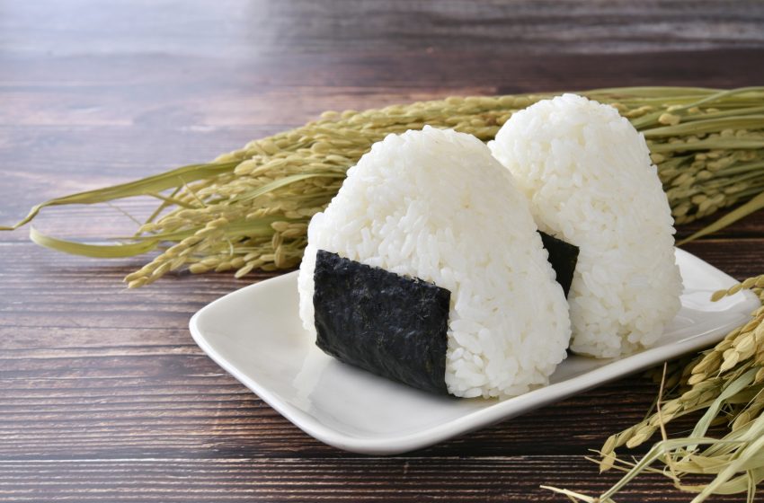  Onigiri: The Heart of Japanese Comfort Food