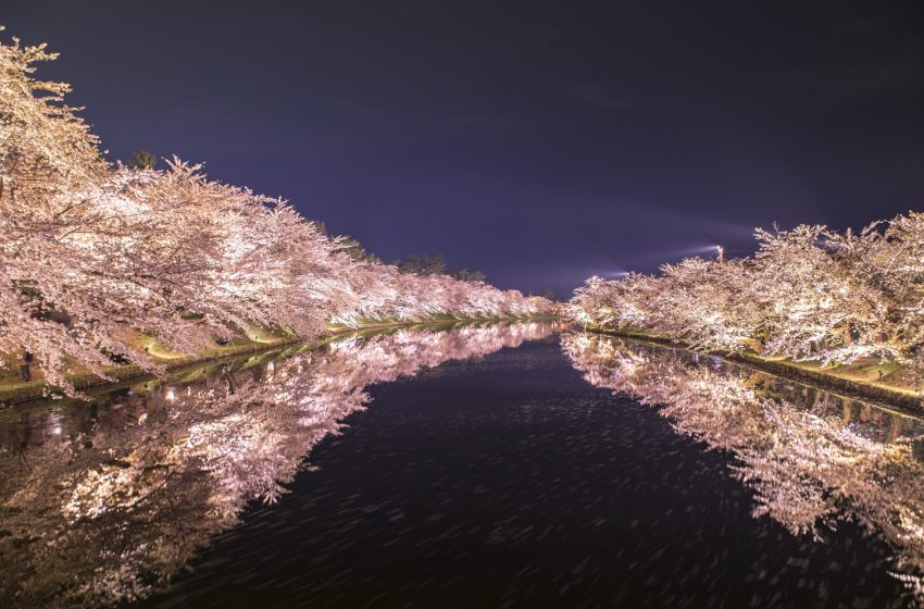  Top 10 Cherry Blossom Viewing Spots in Japan