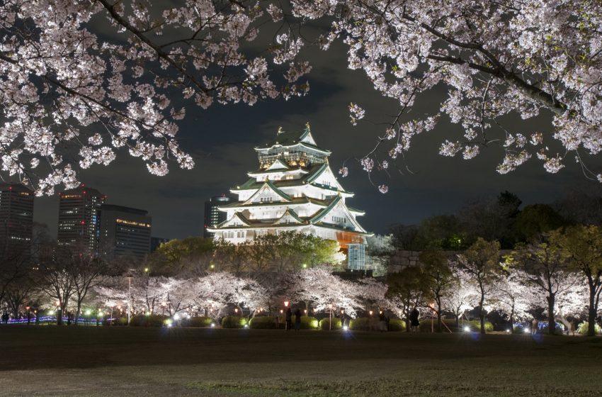  Osaka’s Enchanting Night Sakura: A Guide to Evening Cherry Blossom Viewing