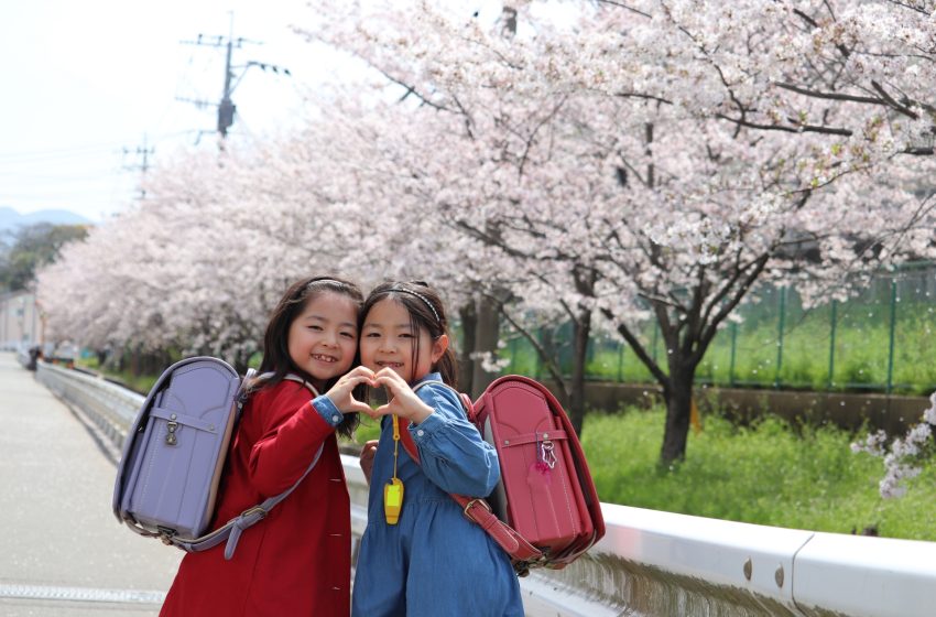  Embracing New Beginnings: The Tradition of Japan’s Entrance Ceremonies